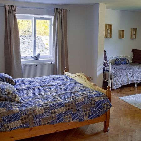 Das Alte Forsthaus Spiegelhuette Lindberg Buitenkant foto