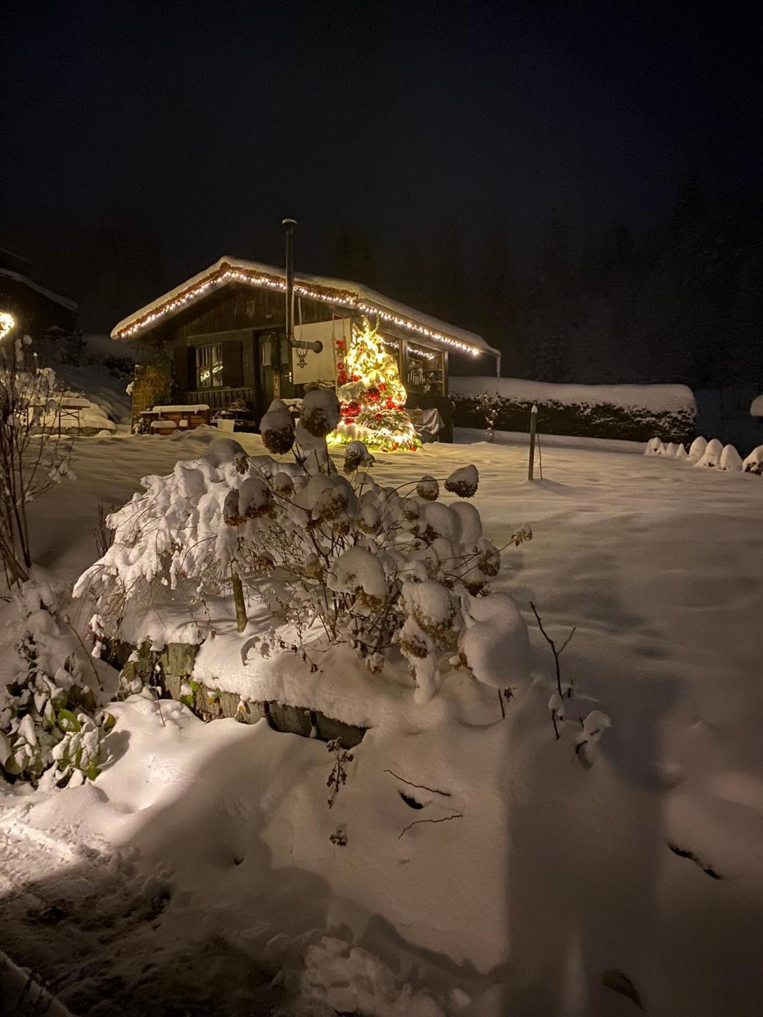 Das Alte Forsthaus Spiegelhuette Lindberg Buitenkant foto