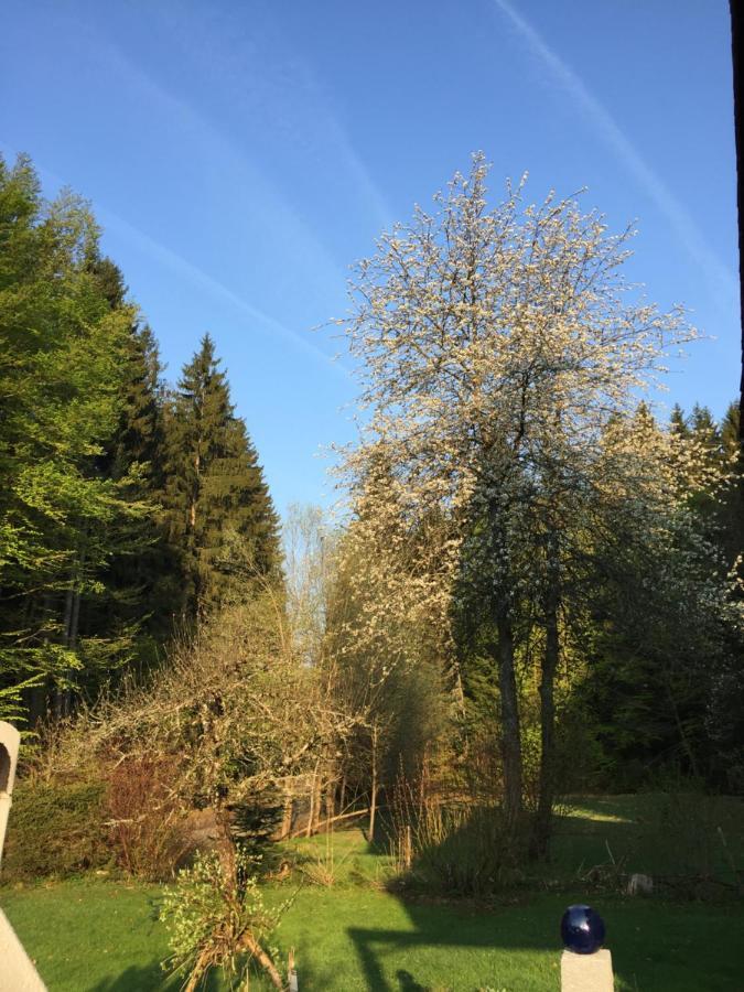 Das Alte Forsthaus Spiegelhuette Lindberg Buitenkant foto